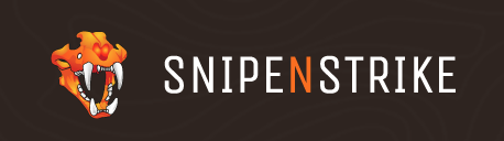 SnipeNStrike